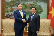 El viceprimer ministro vietnamita, Bui Thanh Son (derecha), recibie al embajador estadounidense en Vietnam, Marc E. Knapper. (Foto: VNA)