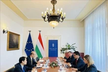 Panorama de la reunión. (Foto: VNA)