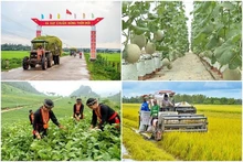 La tasa de hogares de pobreza multidimensional disminuye del 9,2 por ciento al 3,6 por ciento en el período 2016 - 2022. (Foto: baochinhphu.vn)
