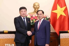 El canciller vietnamita Bui Thanh Son (derecha) recibe al viceministro de Asuntos Exteriores de la República Popular Democrática de Corea (RPDC), Pak Sang Gil. (Foto: VNA)
