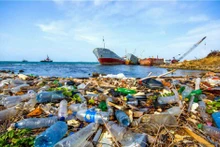 Foto de ilustración. (Foto: Ministerio de Recursos Naturales y Medio Ambiente)