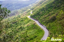 Los sinuosos caminos en el paso de Hai Van crean una belleza única. (Fotografía: baodanang.vn) 