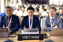 La delegación vietnamita en la 18ª sesión del Comité Intergubernamental para la Salvaguardia del Patrimonio Cultural Inmaterial de la Unesco. (Foto: VNA)