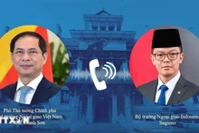 El viceprimer ministro y canciller de Vietnam, Bui Thanh Son, mantuvo conversaciones telefónicas con el ministro de Relaciones Exteriores de Indonesia, Sugiono, el 10 de febrero. (Foto: VNA)