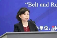 Profesora Liu Ying, del Instituto de Estudios Financieros de Chongyang de la Universidad Renmin de China. (Foto: VNA)