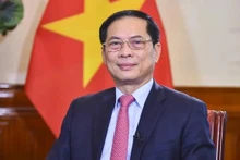 El viceprimer ministro y titular de Relaciones Exteriores de Vietnam, Bui Thanh Son. (Foto: VNA)