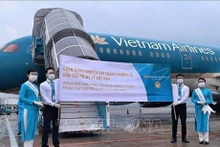 Vietnam Airlines es una de las marcas nacionales valiosas de Vietnam. (Fotografía: VNA)