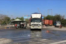 Los guardias fronterizos de Dong Thap controlan estrictamente el área de la puerta fronteriza para evitar eltransporte ilegal de aves de corral a la provincia. (Foto: VNA)