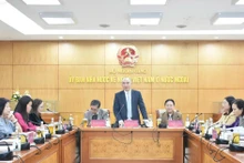 Nguyen Manh Dong, vicepresidente del Comité Estatal para Vietnamitas en el Extranjero, en el evento de lanzamiento del proyecto. (Foto: vietbao.vn)