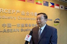 El presidente del Comité de Cooperación Industrial en el marco del Acuerdo de Asociación Económica Integral Regional (RCEP) y director ejecutivo del Consejo Empresarial China-Asean, Xu Ningning. (Foto: VNA)