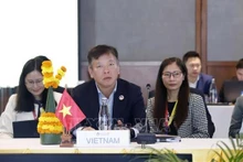 El embajador Vu Ho, jefe interino de la delegación vietnamita en la Reunión de Altos Funcionarios (SOM).(Foto: VNA)