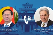 El ministro de Relaciones Exteriores de Vietnam, Bui Thanh Son, y el vicepremier y canciller de Nueva Zelanda, Winston Peters. (Foto: VNA)