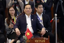 El canciller vietnamita Bui Thanh Son en la reunión. (Foto: VNA)