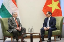 El primer ministro Pham Minh Chinh recibe al presidente de la Asociación de Amistad Hungría-Vietnam, Botz László. (Foto: VNA) 