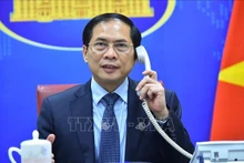 El viceprimer ministro y ministro de Relaciones Exteriores de Vietnam, Bui Thanh Son. (Foto: VNA)