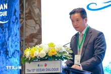 El vicepresidente de la ADV, Nguyen Hung Son, habló en el evento. (Foto: VNA)