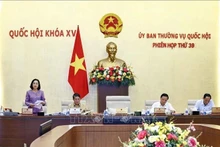 La vicepresidenta de la AN, Nguyen Thi Thanh, preside la reunión. (Foto: VNA)