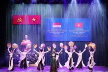 Una actuación artística en el evento. (Foto: VNA)