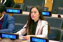 La ministra consejera Le Thi Minh Thoa, representante permanente adjunta de Vietnam ante las Naciones Unidas. (Foto: VNA)