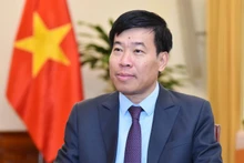 El viceministro de Relaciones Exteriores de Vietnam, Nguyen Manh Cuong. (Foto: VNA)