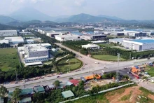 Un parque industrial en el distrito de Binh Xuyen, provincia de Vinh Phuc. (Foto: VNA)