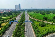 Hanói refuerza cobertura de árboles en carreteras urbanas