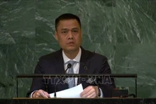 Dang Hoang Giang, representante permanente de Vietnam ante la ONU. (Fotografía: VNA)