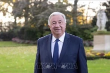 El presidente del Senado de Francia, Gérard Larcher (Fotografía: VNA)