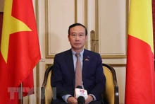 Nguyen Van Thao, embajador vietnamita en Bélgica. (Fotografía: VNA)