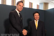 El viceprimer ministro vietnamita Pham Binh Minh se reúne con el primer ministro holandés Mark Rutte. (Fotografía: VNA)
