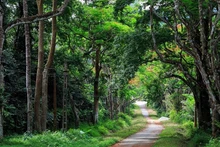 Fotografía: kinhtemoitruong.vn