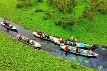 Foto: laodong.vn
