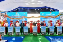 Inician construcción del Parque Industrial Gia Binh II en provincia vietnamita de Bac Ninh