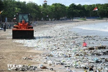 Vehículos limpian residuos plásticos en la playa de Kuta, cerca de Denpasar, isla de Bali, Indonesia. (Foto: AFP/VNA)