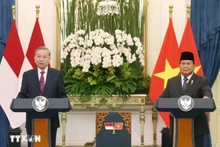 El secretario general del Partido Comunista de Vietnam, To Lam (izquierda), y el presidente indonesio y titular del Partido Movimiento Gran Indonesia (Gerindra), Prabowo Subianto, se reúnen con la prensa (Foto: VNA)