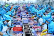 Exportaciones de productos del mar alcanzan la meta de 10 mil millones de dólares para 2024