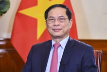 El viceprimer ministro y ministro de Relaciones Exteriores de Vietnam, Bui Thanh Son (Foto: VNA)
