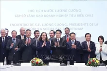 El presidente de Vietnam, Luong Cuong, y representantes de empresas chilenas. (Foto: VNA)