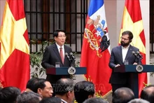 El presidente de Vietnam, Luong Cuong, habla en la reunión con la prensa. (Foto: VNA)