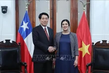 El presidente de Vietnam, Luong Cuong, (I) se reúne con la presidenta de la Cámara de Diputadas y Diputados de Chile, Karol Cariola. (Foto: VNA)