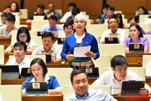 La delegada de la provincia de Hoa Binh, Dang Bich Ngoc habla en la reunión. 