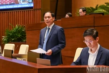 El ministro de Relaciones Exteriores de Vietnam, Bui Thanh Son, responde a las preguntas de los diputados de la Asamblea Nacional. (Foto: VNA)