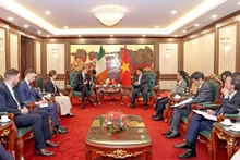 En el encuentro entre el ministro de Planificación e Inversión de Vietnam, Nguyen Chi Dung, y James Browne, ministro de Estado en el Departamento de Justicia de Irlanda (Foto: Vientam+)