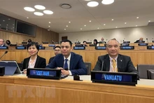 La delegación vietnamita, encabezada por el embajador Dang Hoang Giang, jefe de la misión del país indochino ante las Naciones Unidas, participa en la reunión. (Fotografía: VNA)