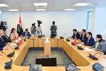 El ministro de Relaciones Exteriores de Vietnam, Bui Thanh Son, se reúne con su homólogo peruano, Javier González Olaechea. (Foto: VNA)