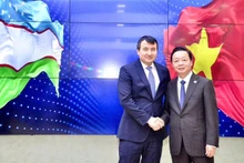 El viceprimer ministro vietnamita Tran Hong Ha sostiene conversaciones con su homólogo uzbeko Jamshid Khodjaev. (Foto: VNA)
