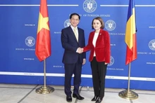 El canciller vietnamita, Bui Thanh Son, y su homóloga rumana, Luminita Odobescu. (Foto: tuoitre.vn)