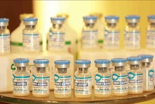 La vacuna NAVET-ASFVAC de la empresa nacional de medicina veterinaria Navetco (Fotografía: VNA)