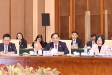 El ministro de Relaciones Exteriores de Vietnam, Bui Thanh Son, se dirige a la cita (Foto: VNA)