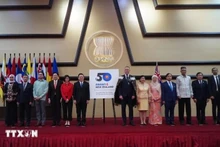 Se anuncia el logotipo oficial para la conmemoración del 50 aniversario de las relaciones de diálogo Asean-Nueva Zelanda (Foto: VNA)